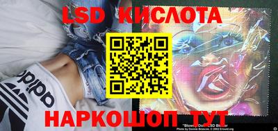 крисы Дубна