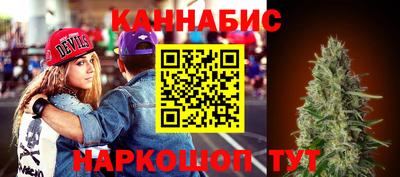 крисы Дубна