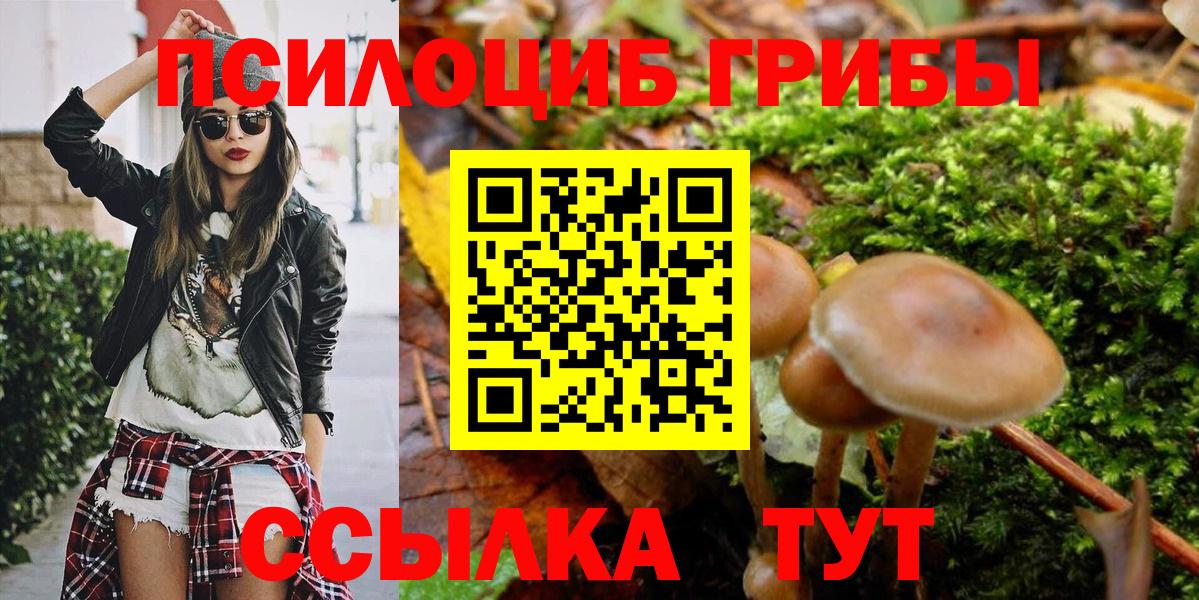 Галлюциногенные грибы Psilocybe Нерюнгри