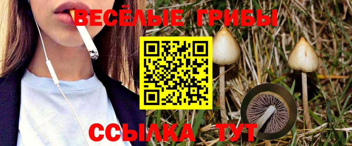 Нерюнгри  Псилоцибиновые грибы ЛСД  Вход с VPN 